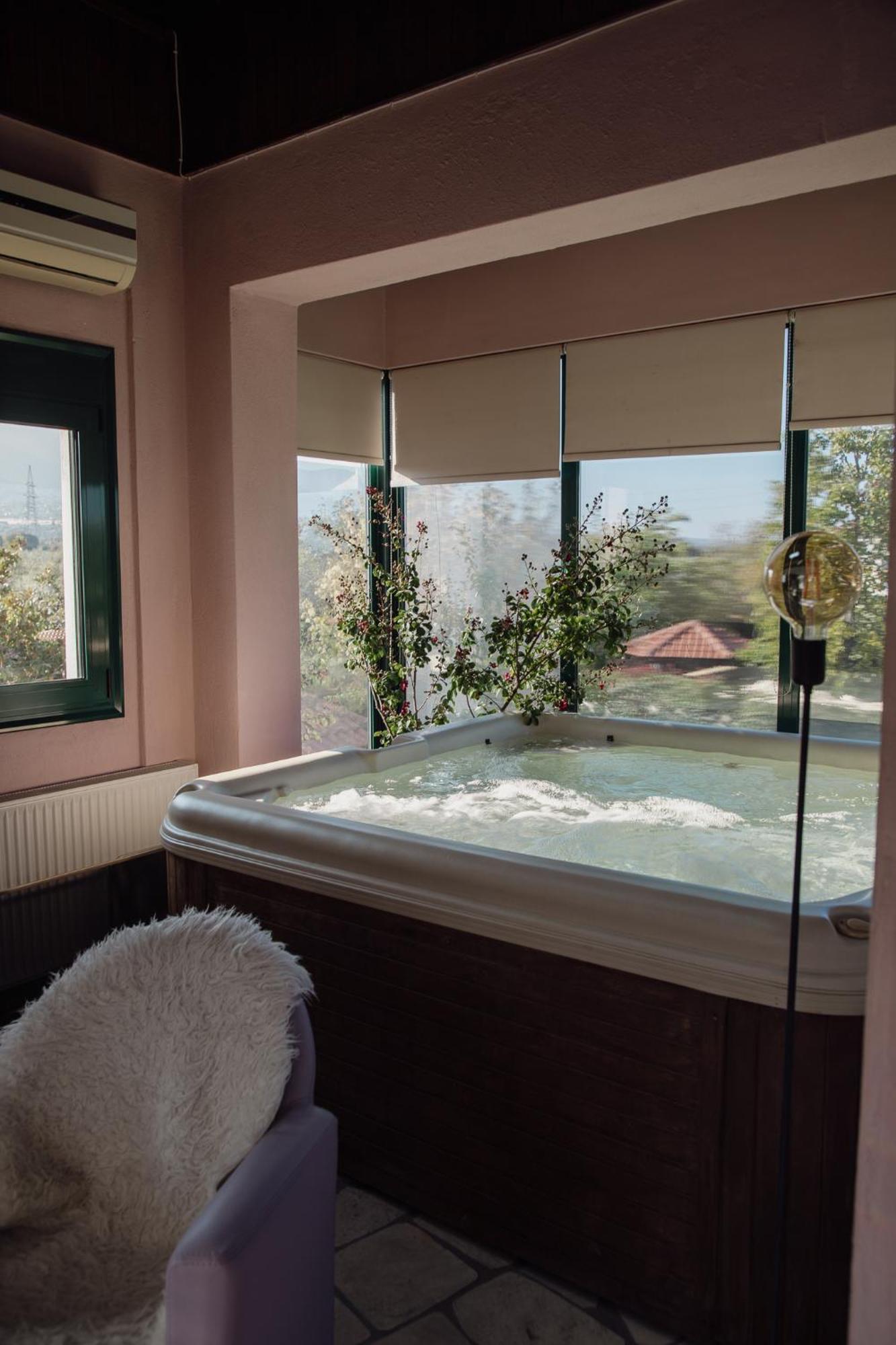 Olympus Theophilia Holiday home *